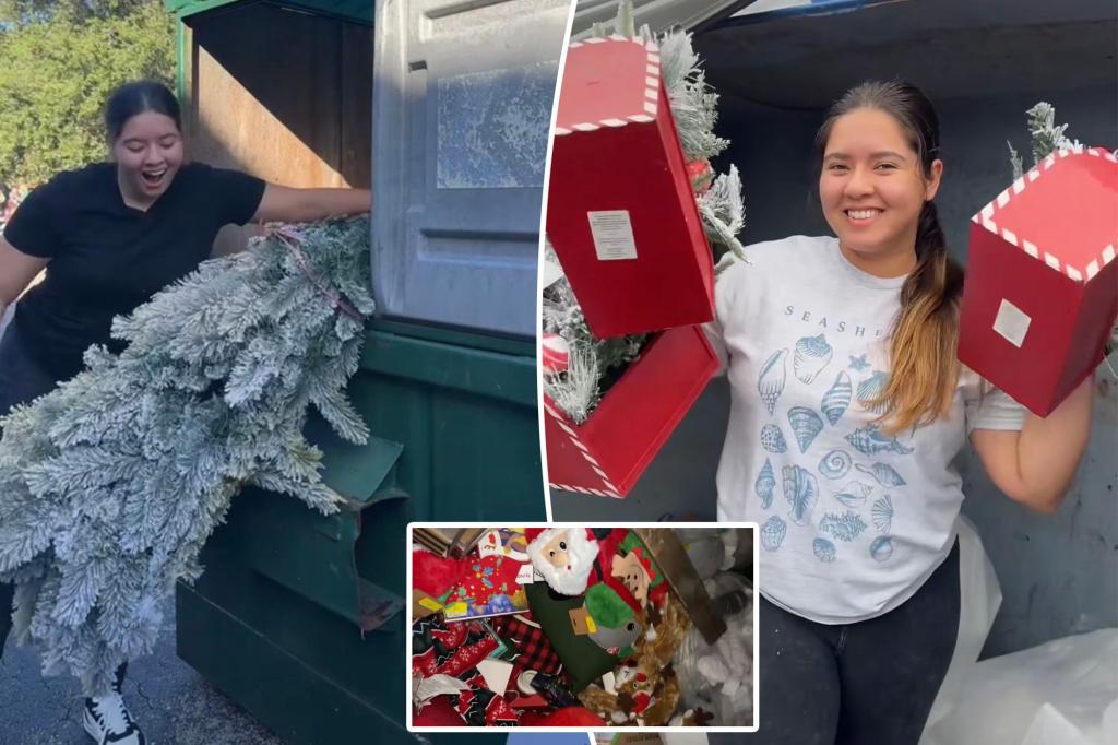 Dumpster Saves $20,000 on Christmas Gifts, Decor from Garbage During Holiday Season: 'It's My Favorite Time to Go'